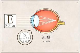 半岛bd体育买足球还是足球截图2